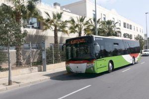 Elche inicia las obras de accesibilidad de paradas de bus en Pere Joan Perpinyà