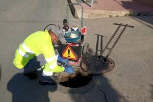 Callosa intensifica los tratamientos contra las plagas