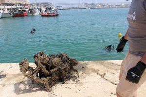 Extraen más de dos toneladas de residuos de los fondos del puerto de Dénia