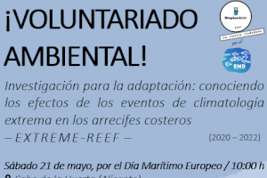 Investigadores de la UA organizan una salida de snorkel en el Cabo de la Huerta