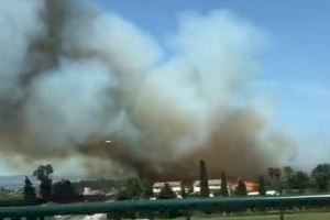 Un incendio de vegetación provoca una gran columna de humo en Callosa de Segura