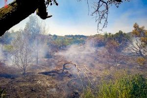 Declarado un incendio con cuatro focos en las vías del tren entre Segorbe y Jérica