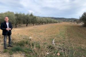 Llum verda al Pla Especial de reserva de sòl per a la primera fase del bulevard entre Alcalà i Alcossebre