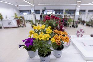 La Fira de jardineria i floristeria arriba a Fira Mercat Gandia aquest cap de setmana