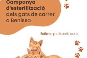 Benissa lanza una campaña de esterilización de gatos