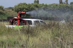 Castelló fa front als mosquits: estos son els municipis en els que s'aplicarà el tractament contra la seua aparició