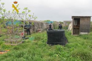 Diversos gossos solts ataquen a cinc persones a Beniarjó