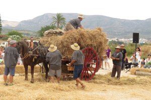 IX Festa del Batre i Ia Fira de la Coca Tradicional