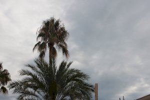 Alerta amarilla por lluvias, tormentas y granizo en Castellón para el lunes 27 de junio