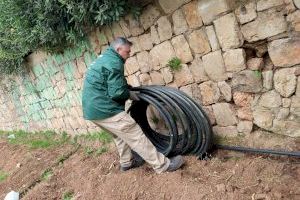 L'atur baixa en 3.943 persones al juny en la Comunitat Valenciana