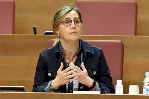 Bastidas acusa a Puig de “permitir la persecución a la víctima del ex de Oltra a quien ahora pretenden retirar la custodia de su hijo”