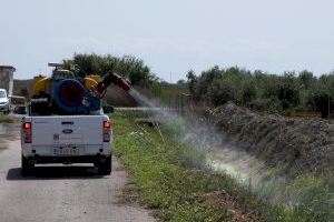 Lucha contra los mosquitos: Calendario de tratamientos esta semana en Castellón