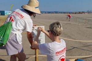 Castelló refuerza la conservación del hábitat del chorlitejo en la playa del Gurugú