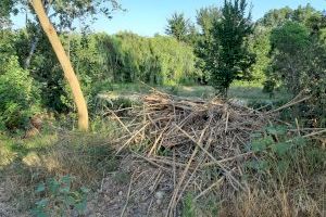 El PP denuncia que el Clot de Borriana està abandonat després de les pluges d'abril