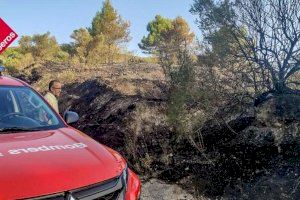Incendio en Alicante: Se queman 1.400 metros cuadrados de pinar en Vall de Alcalá