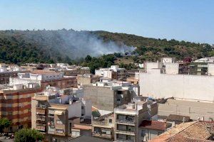 La Guardia Civil detiene al responsable de los incendios de La Safor