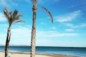 Salvan la vida a un hombre semiahogado en una playa de Guardamar del Segura