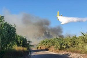 Estabilizado el incendio forestal declarado en la Font Salada de Oliva