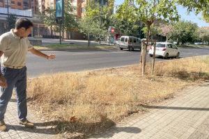 Mundina lamenta el mal estado de muchos de los parques y jardines de Valencia