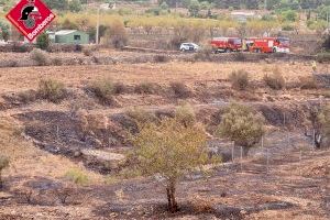 Arde una zona de vegetación en el Hondón de las Nieves (Alicante)