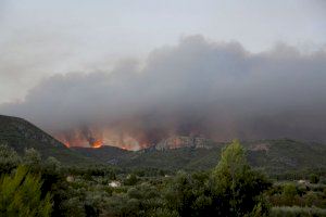 El fuego visto desde Figuerolese