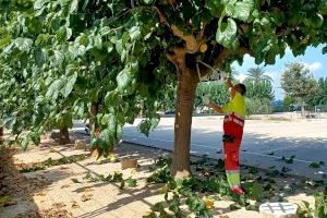 Comencen els treballs de poda als centres escolars