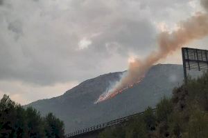 Controlan el incendio forestal en Albaida