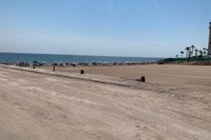 Costas inicia la regeneración ambiental de la parcela del hotel de Arenales del Sol con la reposición del campo dunar