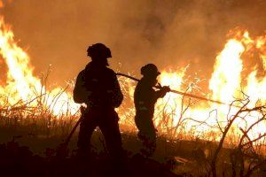 Imagen de la UME trabajando en el incendio de Bejís