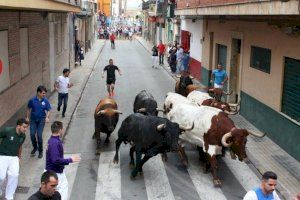 Los bous al carrer marcan las distancias entre los partidos políticos valencianos