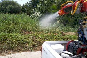 Lucha contra los mosquitos: Calendario de tratamientos esta semana en Castellón