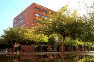 La Universitat de València, entre les 200 més visibles del món a Internet i la millor d’Espanya en Economia, Negocis i Turisme