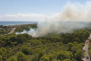 S'inicia un incendi en El Saler de València