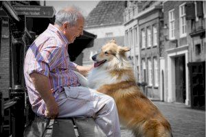 El vínculo humano-animal: Beneficios para los pacientes con alzheimer y otras demencias