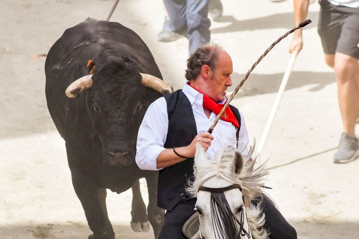 Proposen com ‘segorbino de l'any’ al caballista que va evitar una tragèdia en l'Entrada de Bous i Cavalls