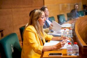 Cs aconsegueix unanimitat per a la posada en marxa de l'oficina especialitzada en projectes europeus