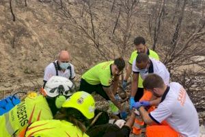 Dos treballadors ferits a Venta del Moro en caure'ls damunt un arbre