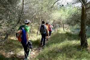 Casi 400.000 valencianos practican senderismo al menos una vez al año