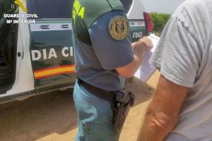 Multen a tres persones per agafar 420 quilos de pinyes al Parc Natural de la Serra de Mariola