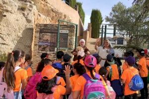 Tornen les visites dinamitzades per als escolars a l’històric Puig de la Nau de Benicarló