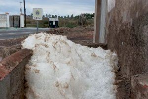 Els ecologistes creuen que la Finca del Pou de Nules s'està contaminant