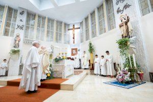 Cardenal Cañizares: “Acoged al nuevo pastor de forma espléndida y seguid el ejemplo de santa Teresa”