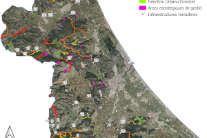 El CDR la Safor identifica la ramaderia extensiva de la Safor com a recurs per a la prevenció d’incendis forestals