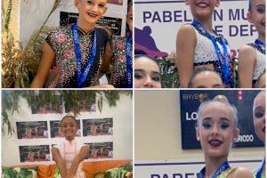 Fase provincial gimnastes suecanes