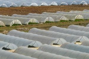 Las campañas de recogida de plásticos agrícolas suman 200 toneladas de residuos recogidos