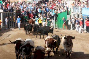 Un vecino de Vila-real herido por asta de toro en los encierros de Onda