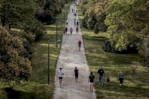 Valencia plantará casi 1.300 árboles para luchar contra el cambio climático