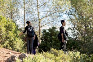 El Consorci de Museus muestra en La Vall de Gallinera las obras de la residencia artística Enclave Land Art