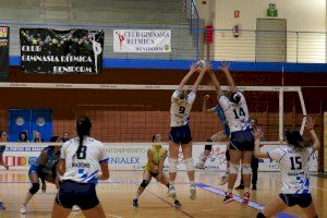 Importantes enfrentamientos para los equipos del Club Voleibol Playas de Benidorm a domicilio en Almoradí y Tenerife