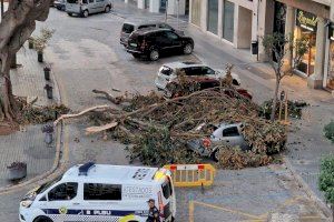 Luz verde a las ayudas para los pueblos valencianos afectados por las últimas lluvias